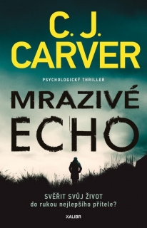 PSYCHOLOG HARRY HOPE 1: MRAZIVÉ ECHO