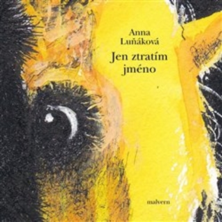 JEN ZTRATÍM JMÉNO