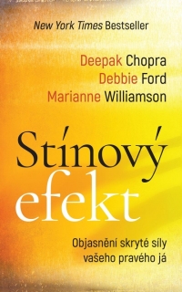 STÍNOVÝ EFEKT - OBJASNĚNÍ SKRYTÉ SÍLY VA