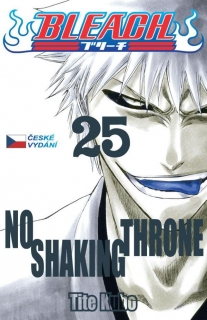 BLEACH 25: NO SHAKING THRONE