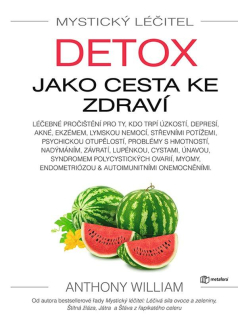 MYSTICKÝ LÉČITEL: DETOX JAKO CESTA