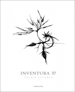 INVENTURA 37