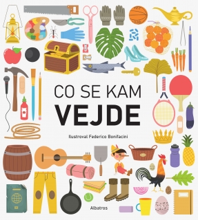 CO SE KAM VEJDE