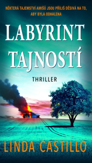 LABYRINT TAJNOSTÍ 10 PAINTERS MILL