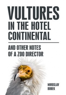 VULTURES IN THE HOTEL CONTINENTAL
