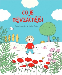 CO JE NEJVZÁCNĚJŠÍ