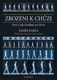 ZROZENI K CHŮZI