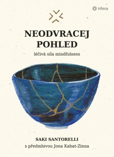 NEODVRACEJ POHLED   LÉČIVÁ SÍLA MINDFULNESS