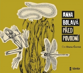 CD PŘED POVODNÍ - AUDIOKNIHOVNA