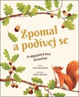 ZPOMAL A PODÍVEJ SE