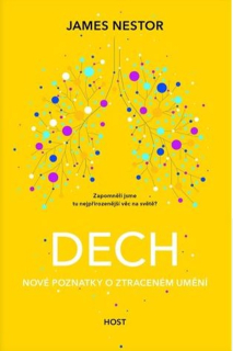 DECH - NOVÉ POZNATKY O ZTRACENÉM UMĚNÍ