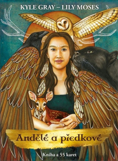 ANDĚLÉ A PŘEDKOVÉ - KNIHA A 55 KARET