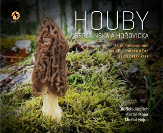 HOUBY BEROUNSKA A HOŘOVICKA - ZA TAJEMST