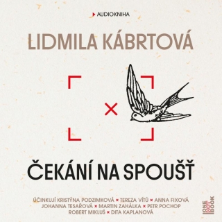 CD ČEKÁNÍ NA SPOUŠŤ - CDMP3
