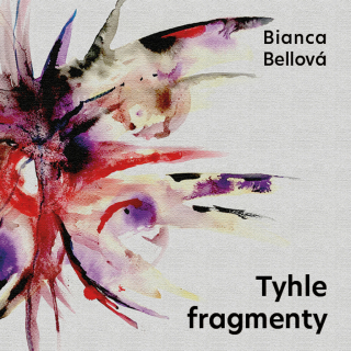 CD TYHLE FRAGMENTY