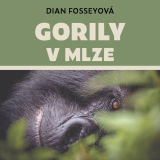 CD GORILY V MLZE