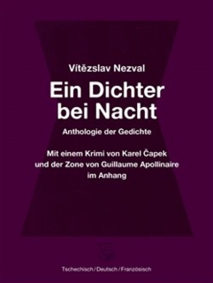 EIN DICHTER BEI NACHT