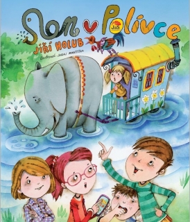 SLON V POLÍVCE