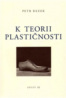 K TEORII PLASTIČNOSTI