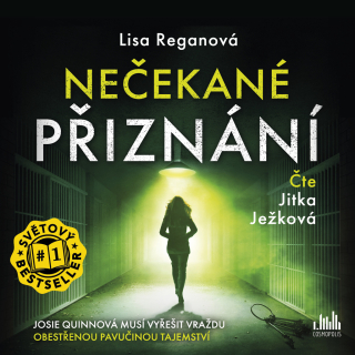 CD NEČEKANÉ PŘIZNÁNÍ (AUDIOKNIHA)