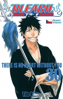 BLEACH 30: THERE IS NO HEART WITHOUT YOU