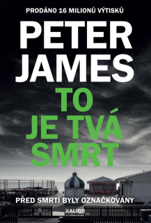 TO JE TVÁ SMRT 11 SUPERINTENDANT ROY GRACE