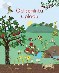 OD SEMÍNKA K PLODU