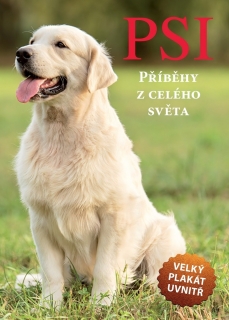 PSI - PŘÍBĚHY Z CELÉHO SVĚTA