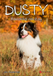 DUSTY 1  KAMARÁDI NAVŽDY