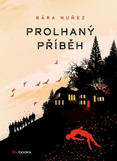 PROLHANÝ PŘÍBĚH