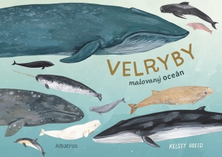 VELRYBY
