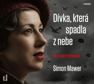 CD DÍVKA, KTERÁ SPADLA Z NEBE - CDMP3 (ČTE